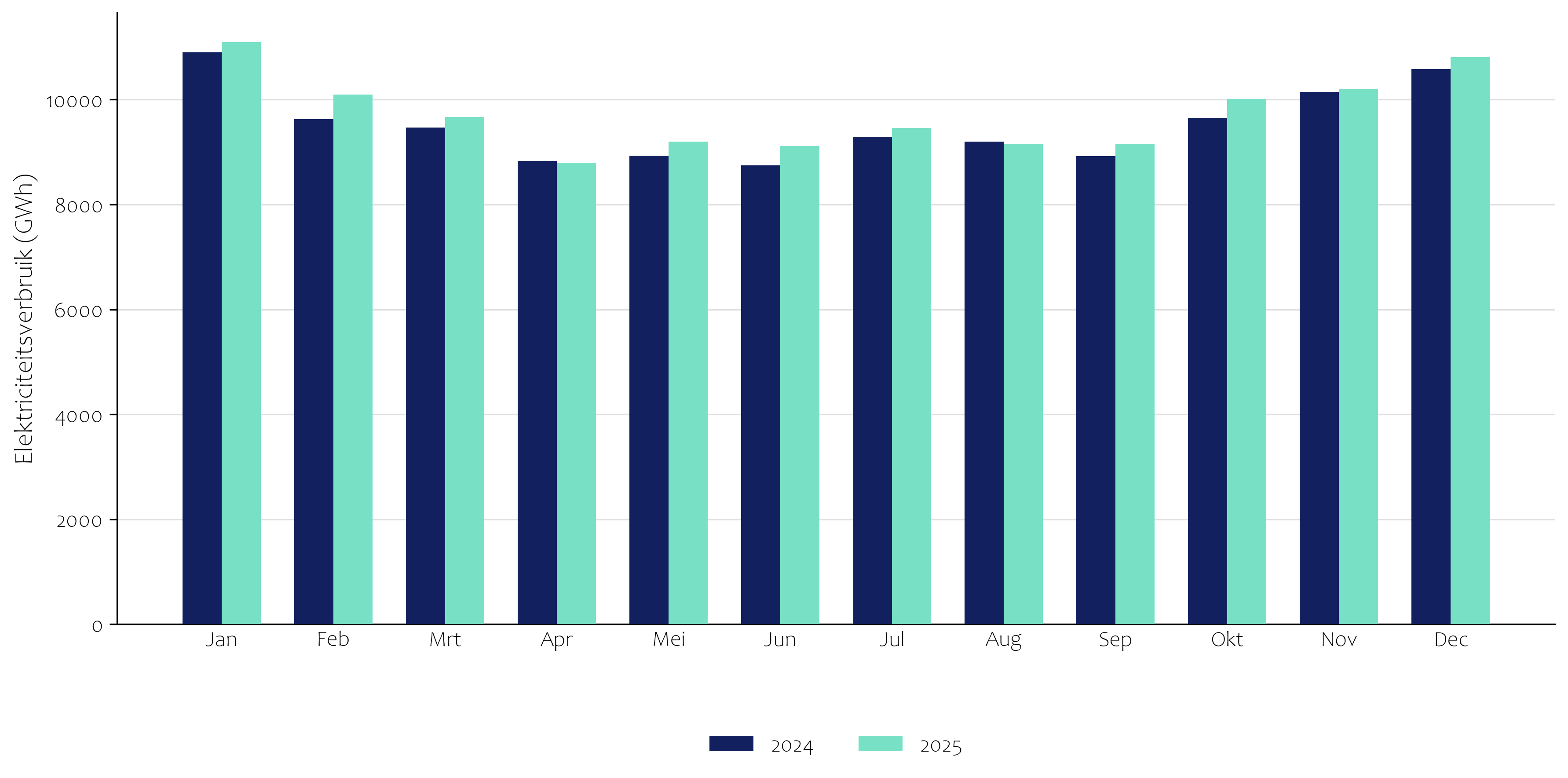 Elektriciteitsverbruik per maand 2025